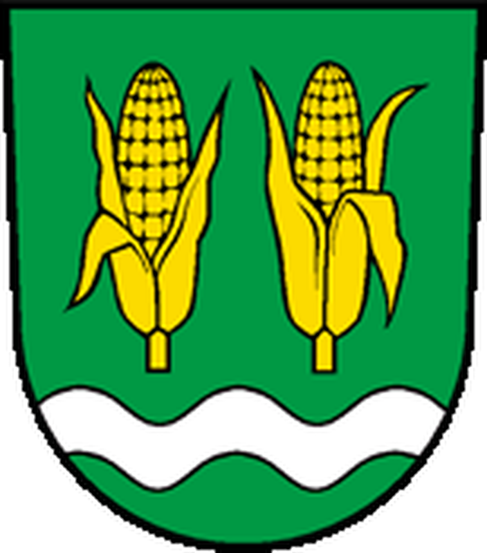 Wappen Diepoldsau