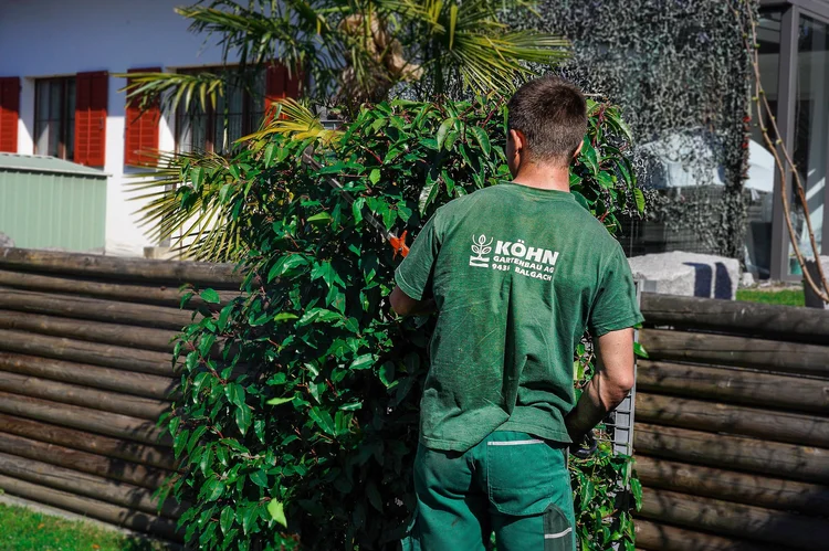 Gartengestaltung Bühler