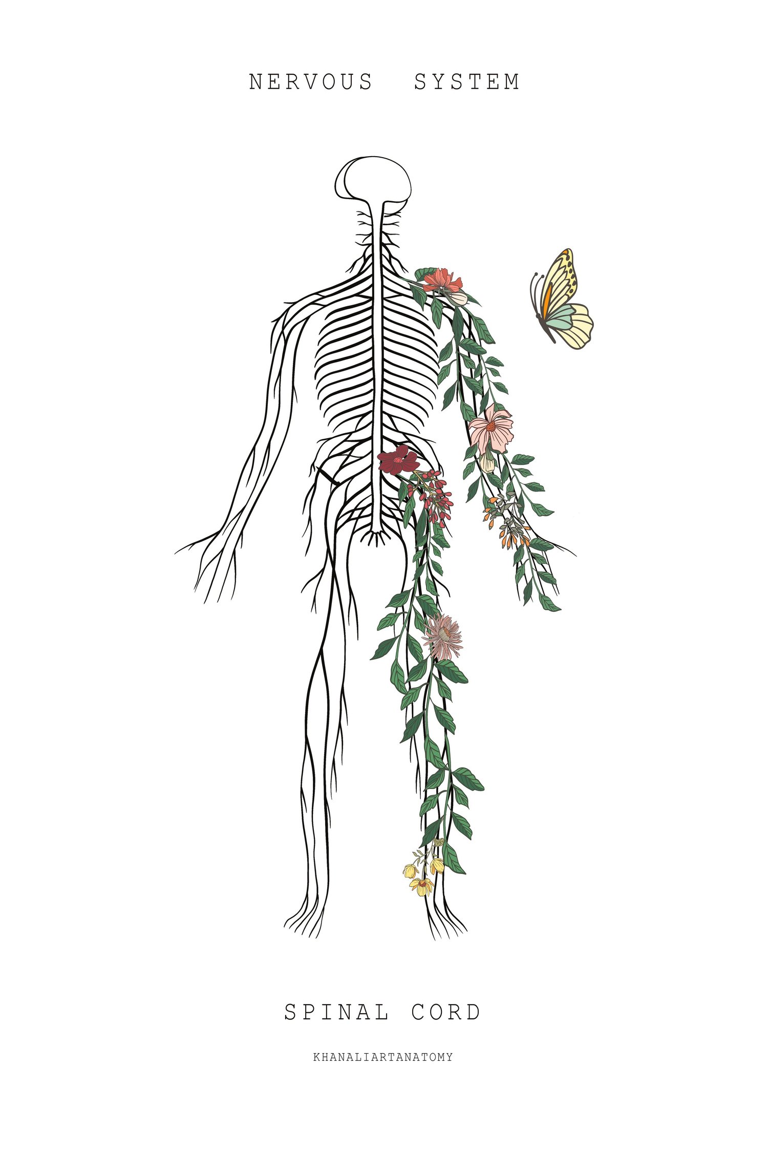 Line drawing of the human nervous system and spinal cord with flowers and a butterfly. Physical therapy for Willis and Lake Conroe at PhysioVictory in Conroe, TX.