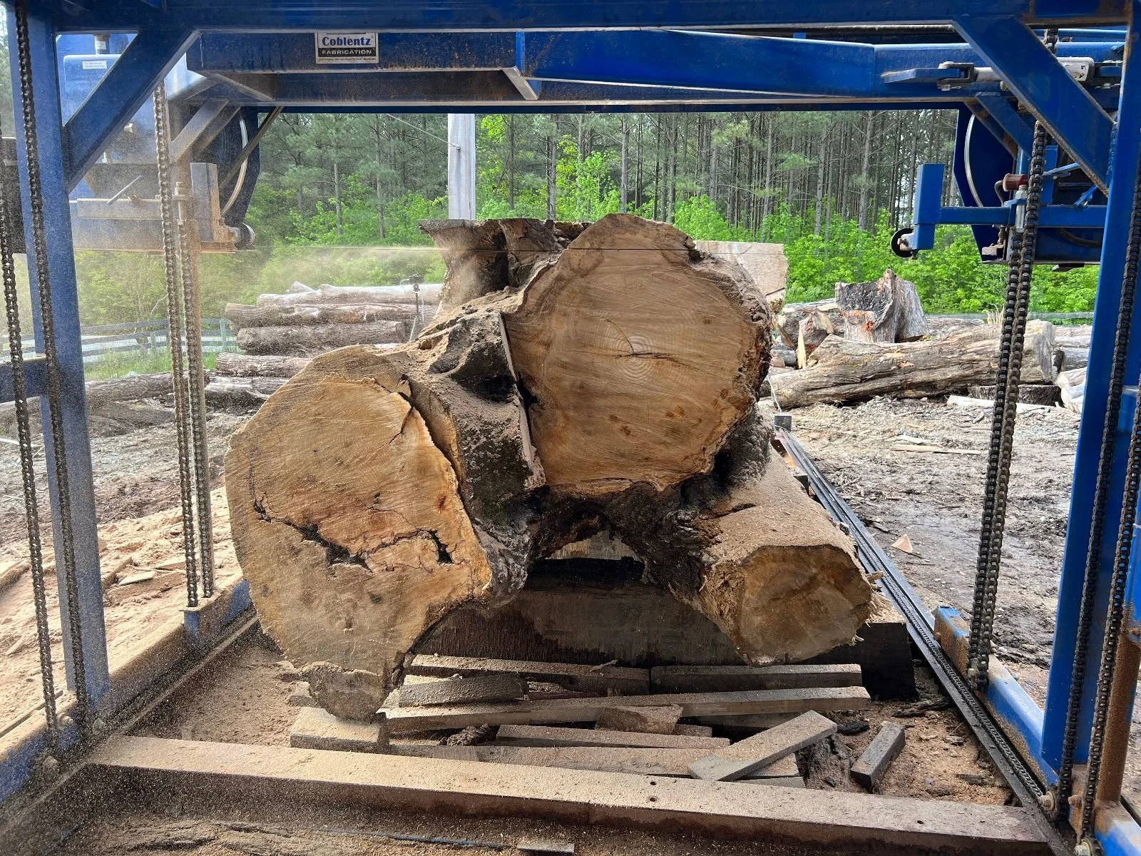 A giant log on Big Blue — the widest bandsaw mill in NC
