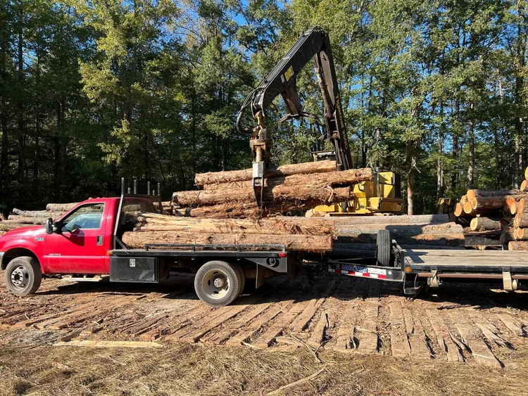 Crane loading urban logs for pickup