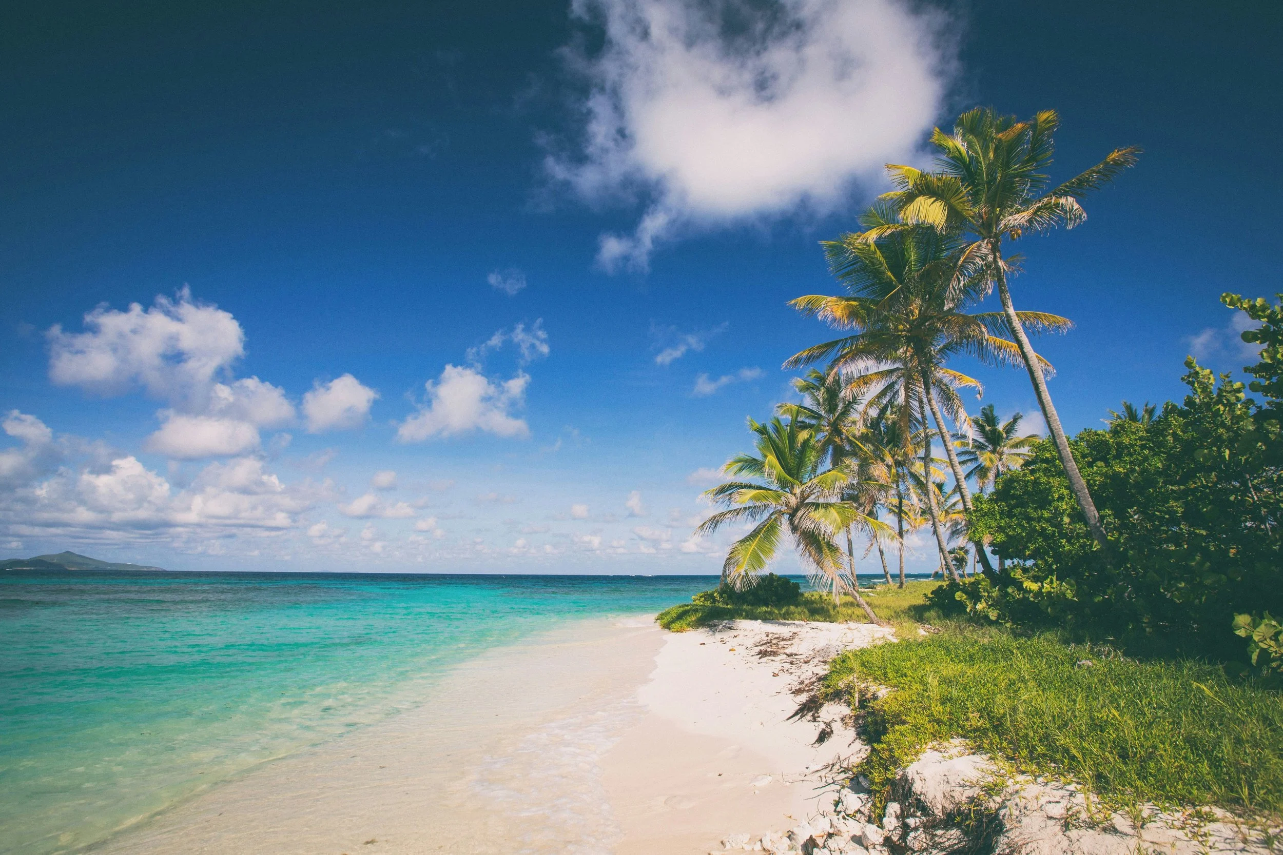 Caribbean beach with turquoise water and palm trees