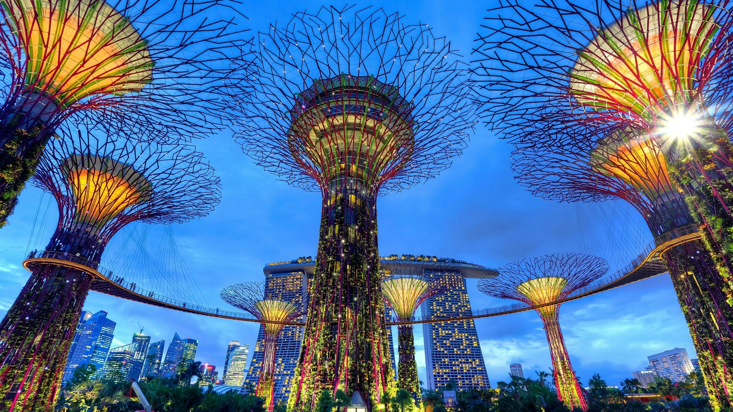 Gardens by the Bay Singapore Supertrees at night