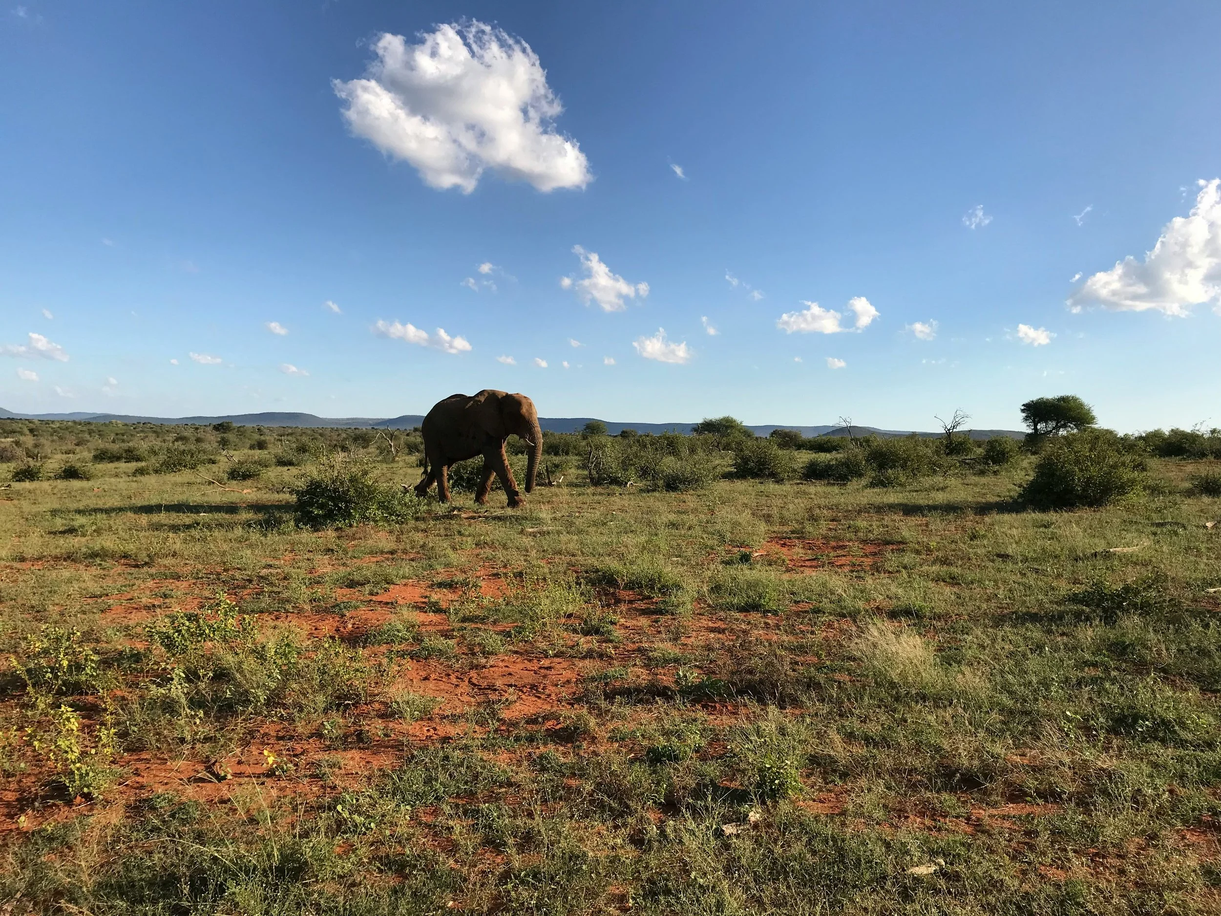 Desert landscape with a traveler holding a phone for navigation