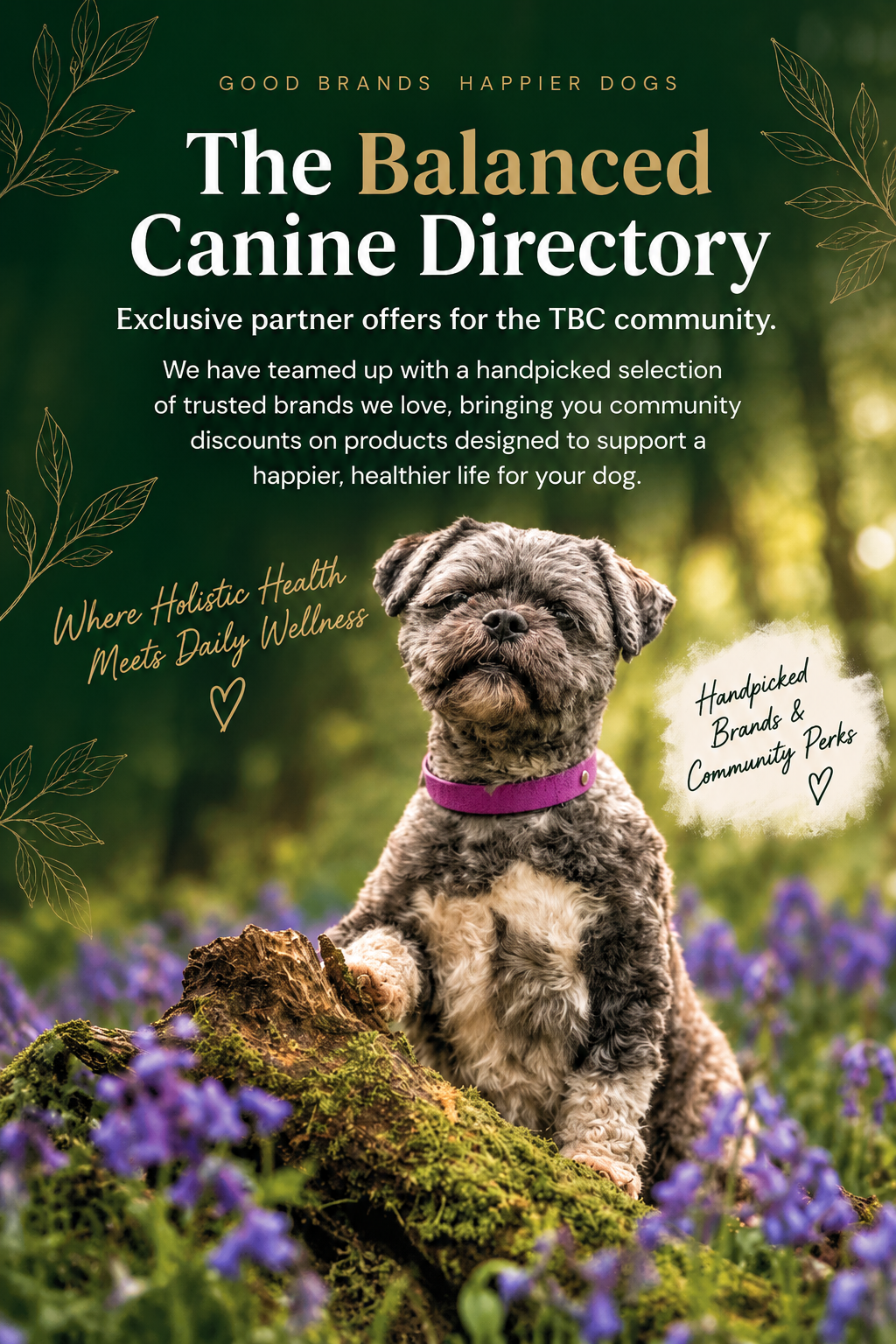 The Balanced Canine Discount Directory visual
