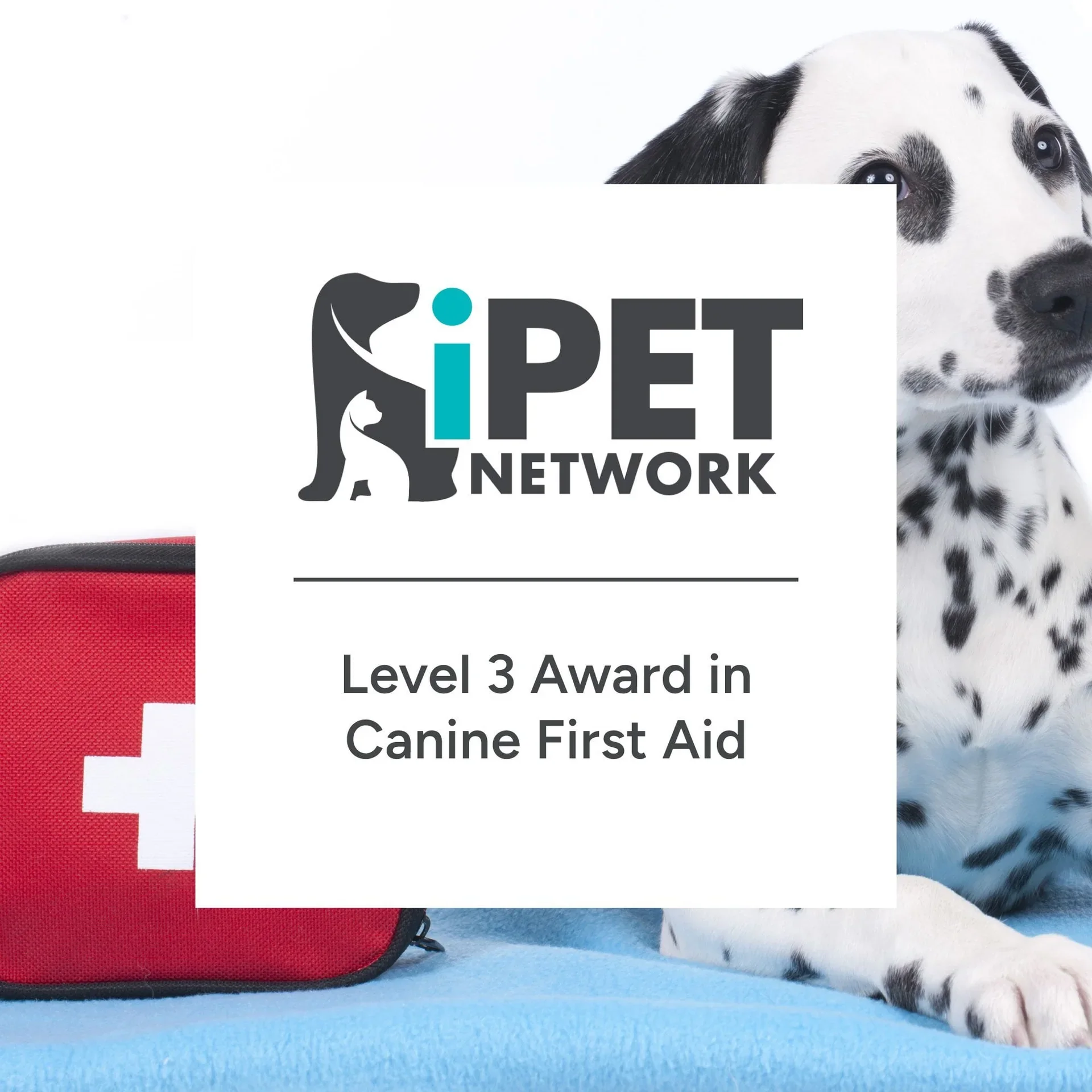 iPet Network Level 3 Canine First Aid qualification emblem