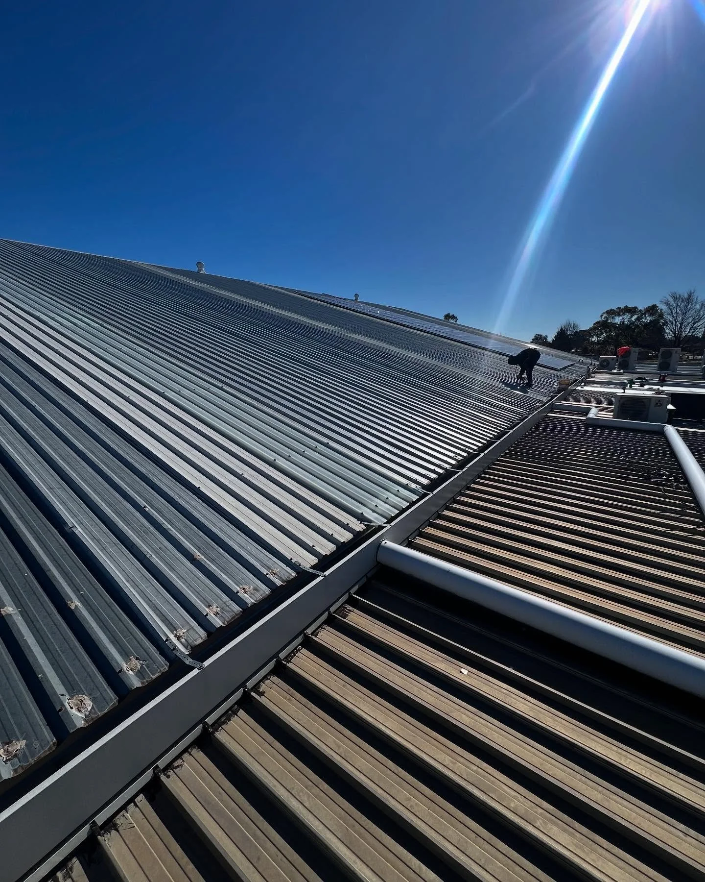 Commercial shed construction