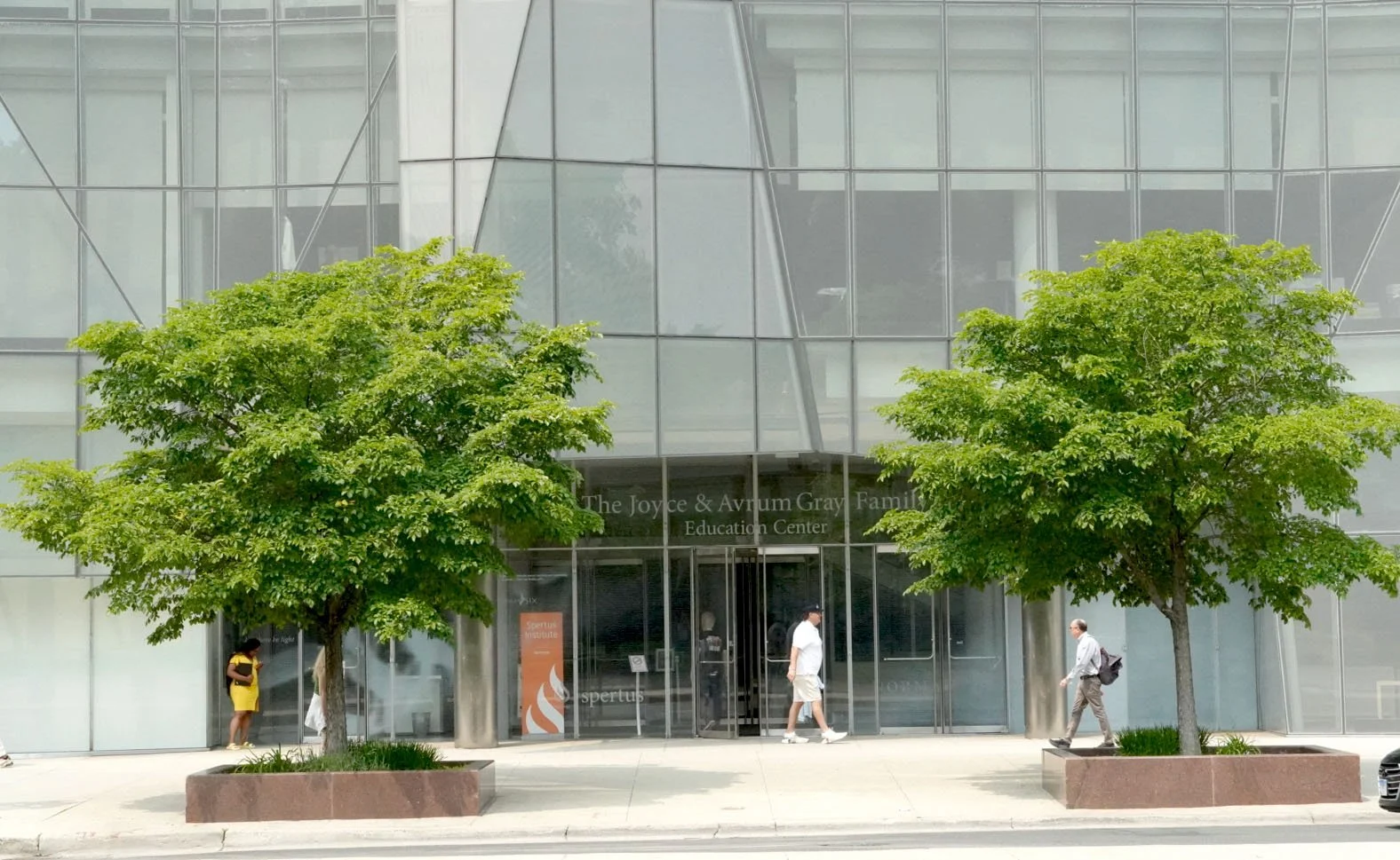 Tree and building
