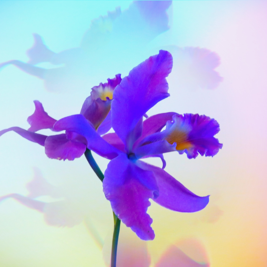 Why Mindful Smart Cities?