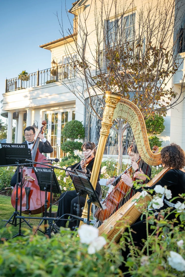Pink Mozart harp and string ensemble performing outdoors