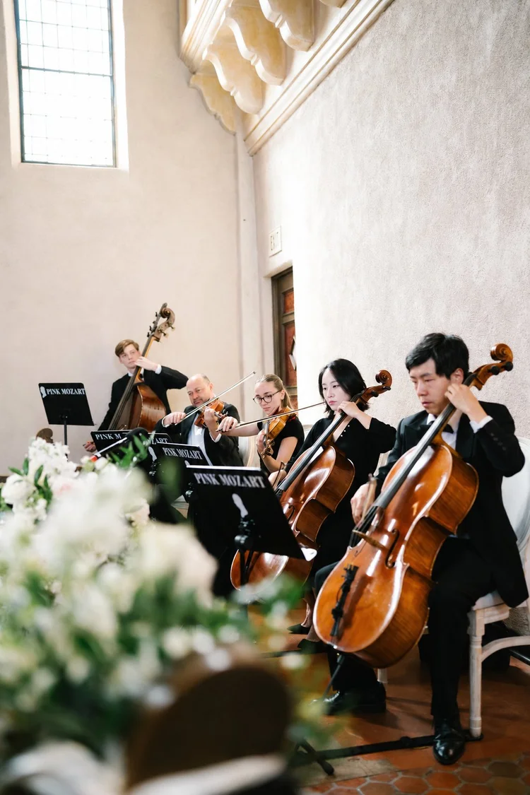 Pink Mozart string ensemble with violins, cellos, and double bass performing indoors