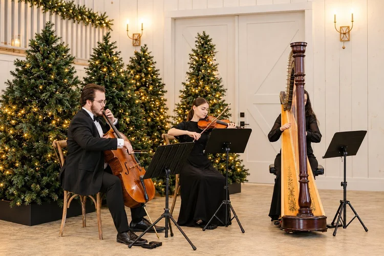 Pink Mozart harp, violin, and cello trio beside Christmas trees