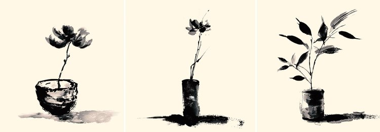 Sketches - November 2024