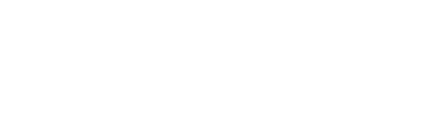Denmark Technical College