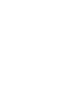 A'ja Wilson Foundation