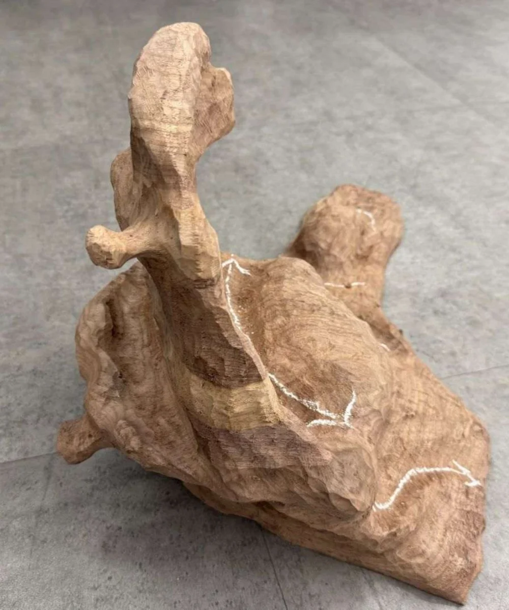 Fawn Orchard process study 80