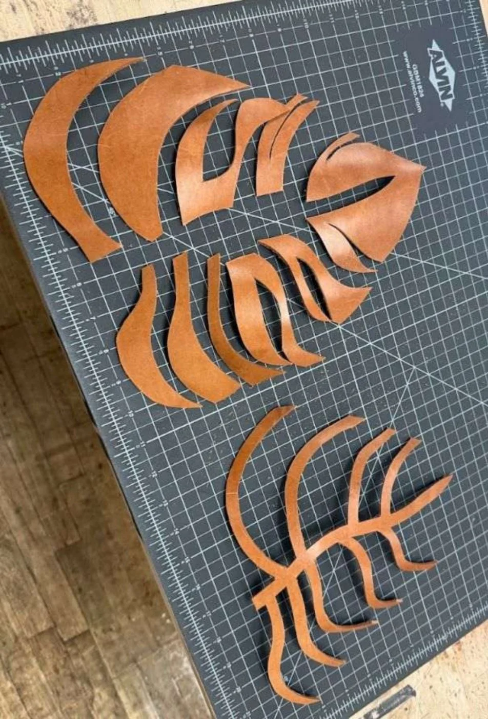 Fawn Orchard process study 27
