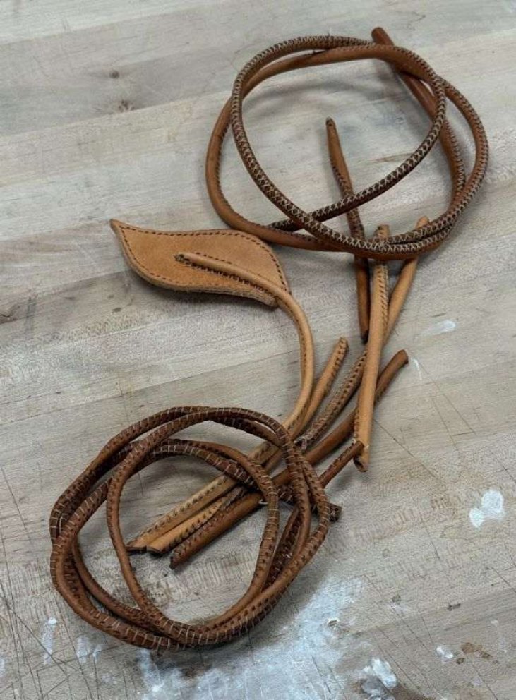Fawn Orchard process study 2