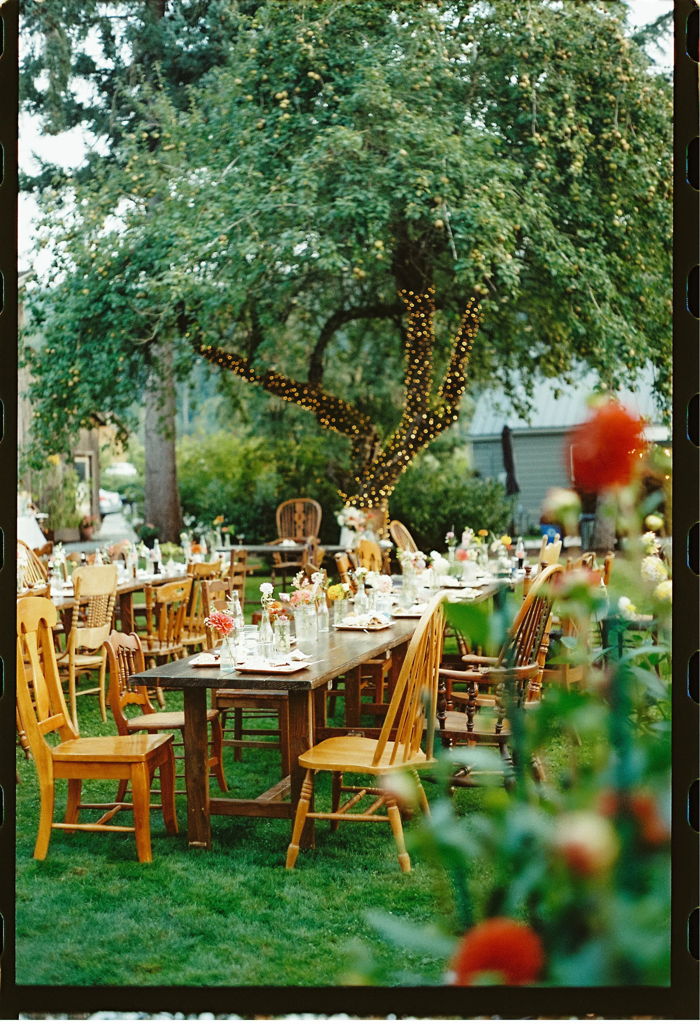 The Garden Table Experience