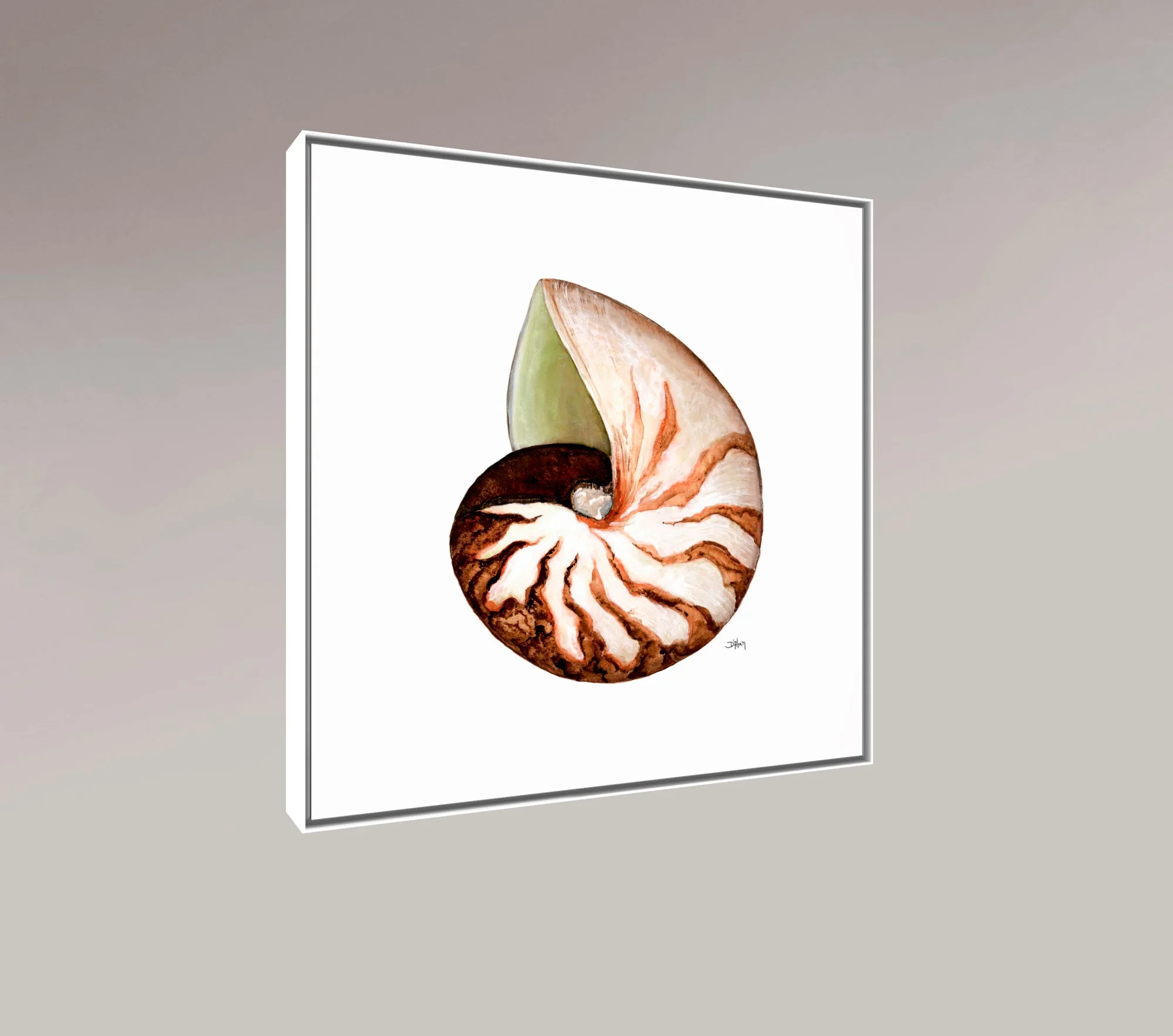 Breakers Nautilus, aluminium 2 inch white ArtBox seen from an angle