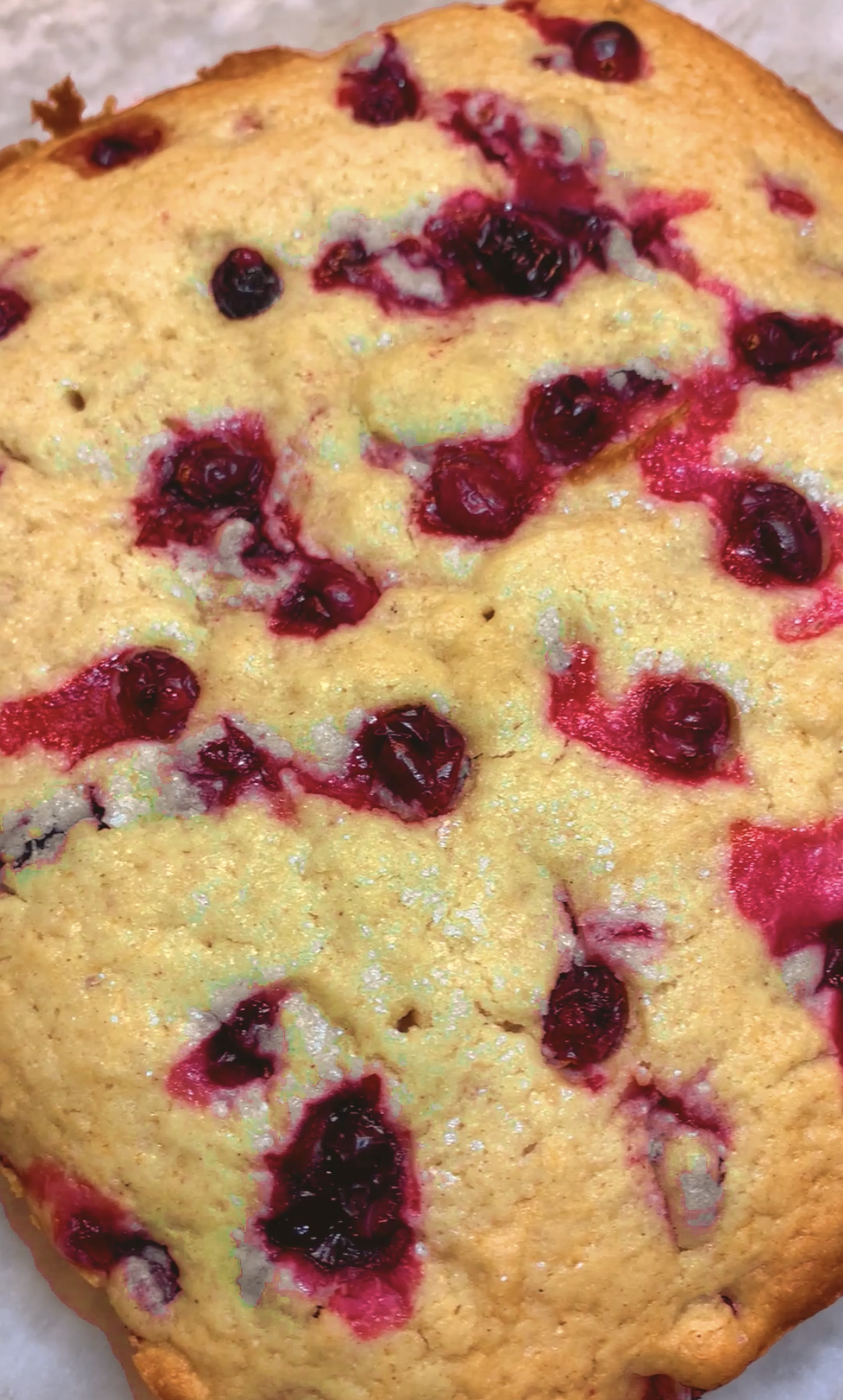 Cranberry Almond Cake with Cinnamon & Cardamom Cranberry Almond Cake with Cinnamon & Cardamom