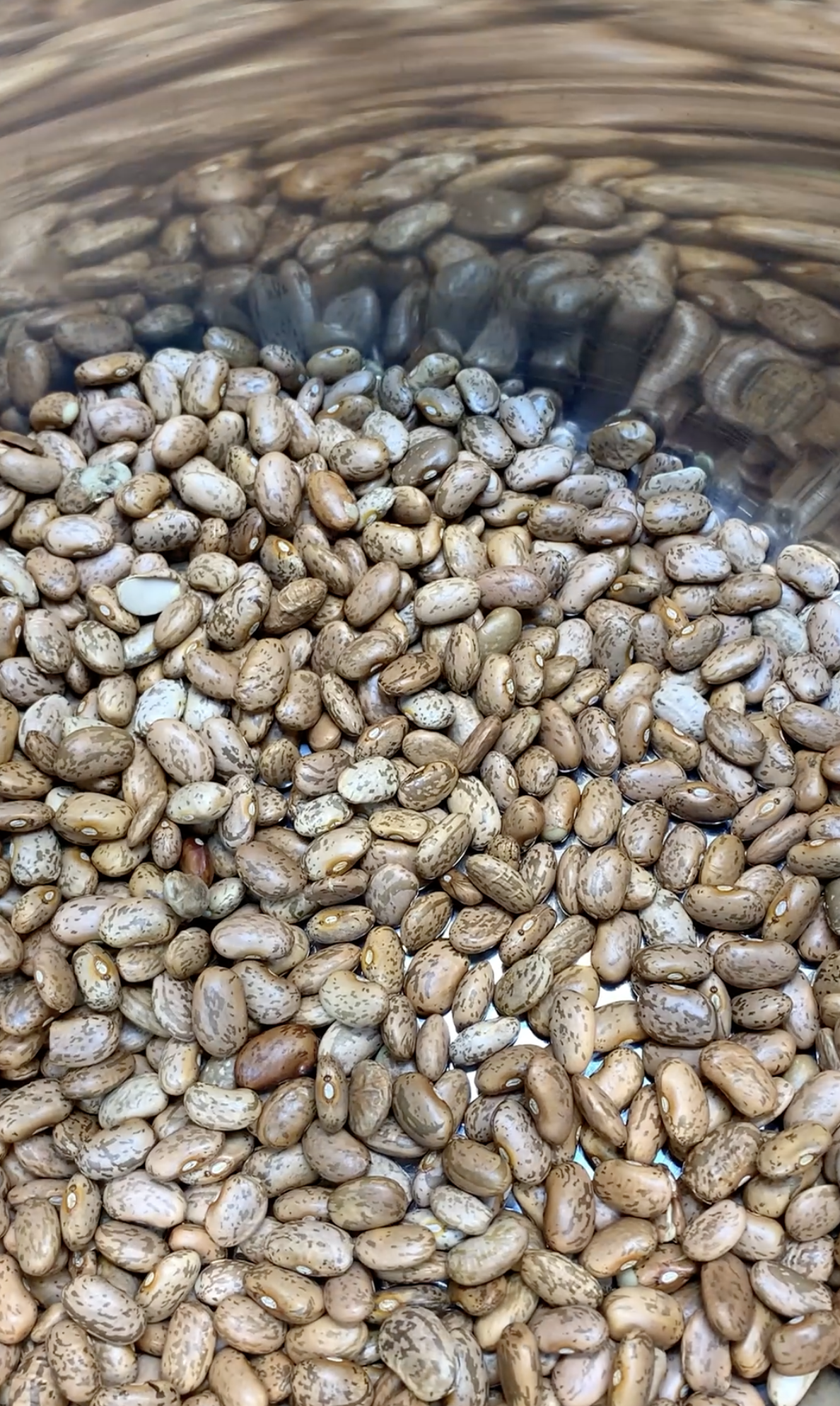Super Easy Instant Pot Pinto Beans Super Easy Instant Pot Pinto Beans