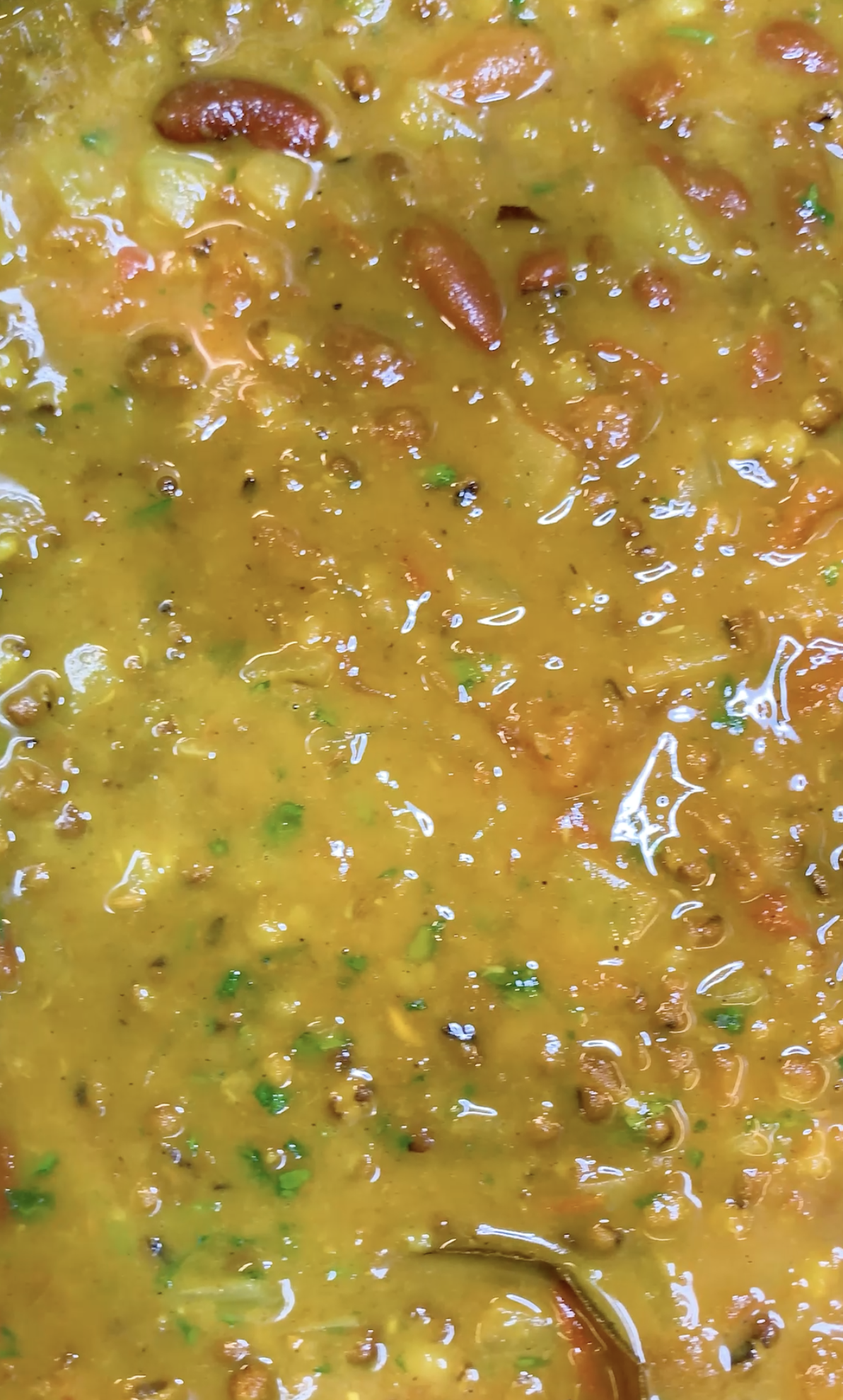 Dal Makhani Dal Makhani
