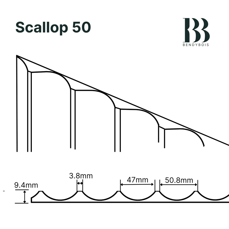 scallop50
