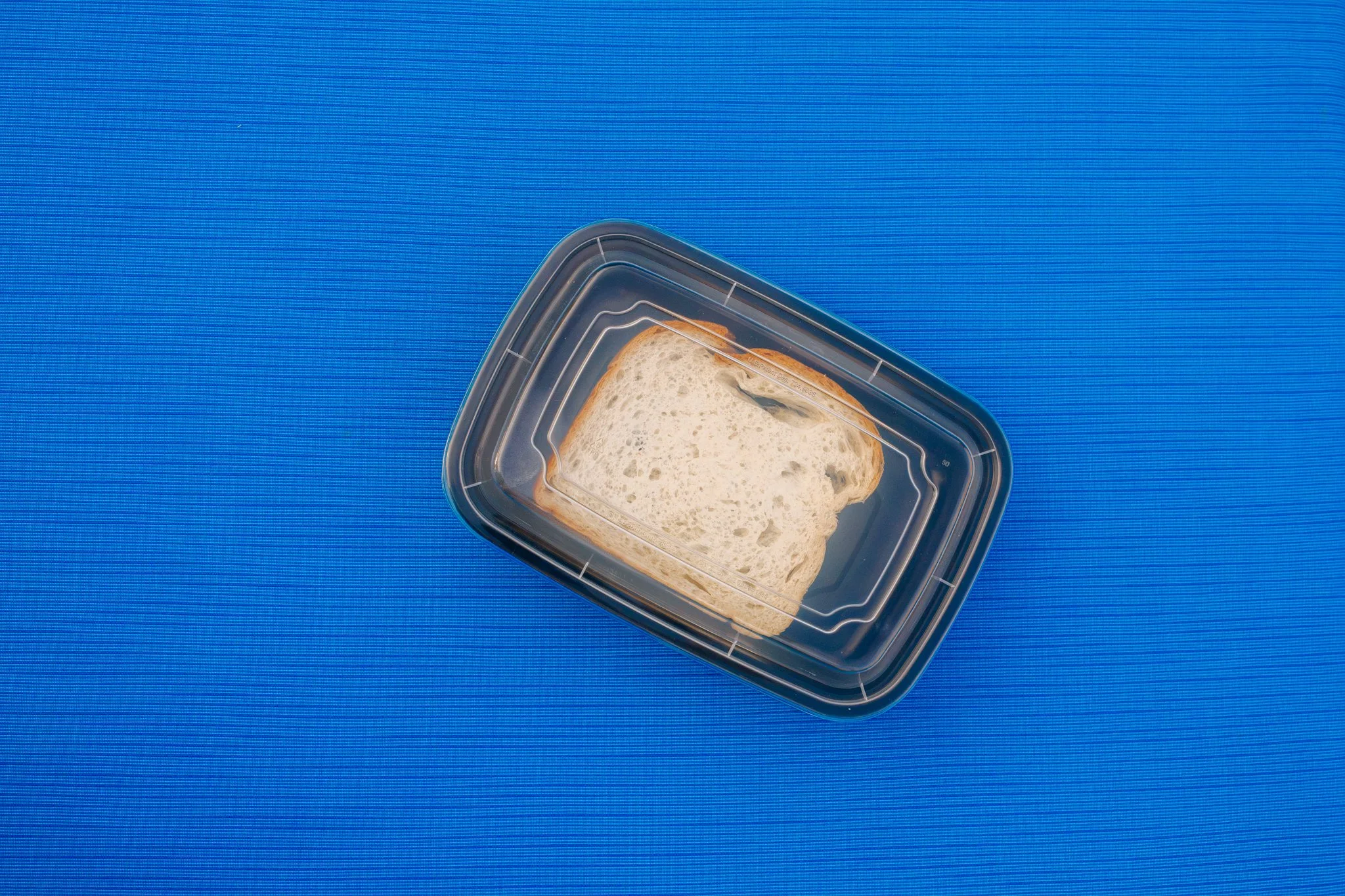 Untouched (2025) photograph 2