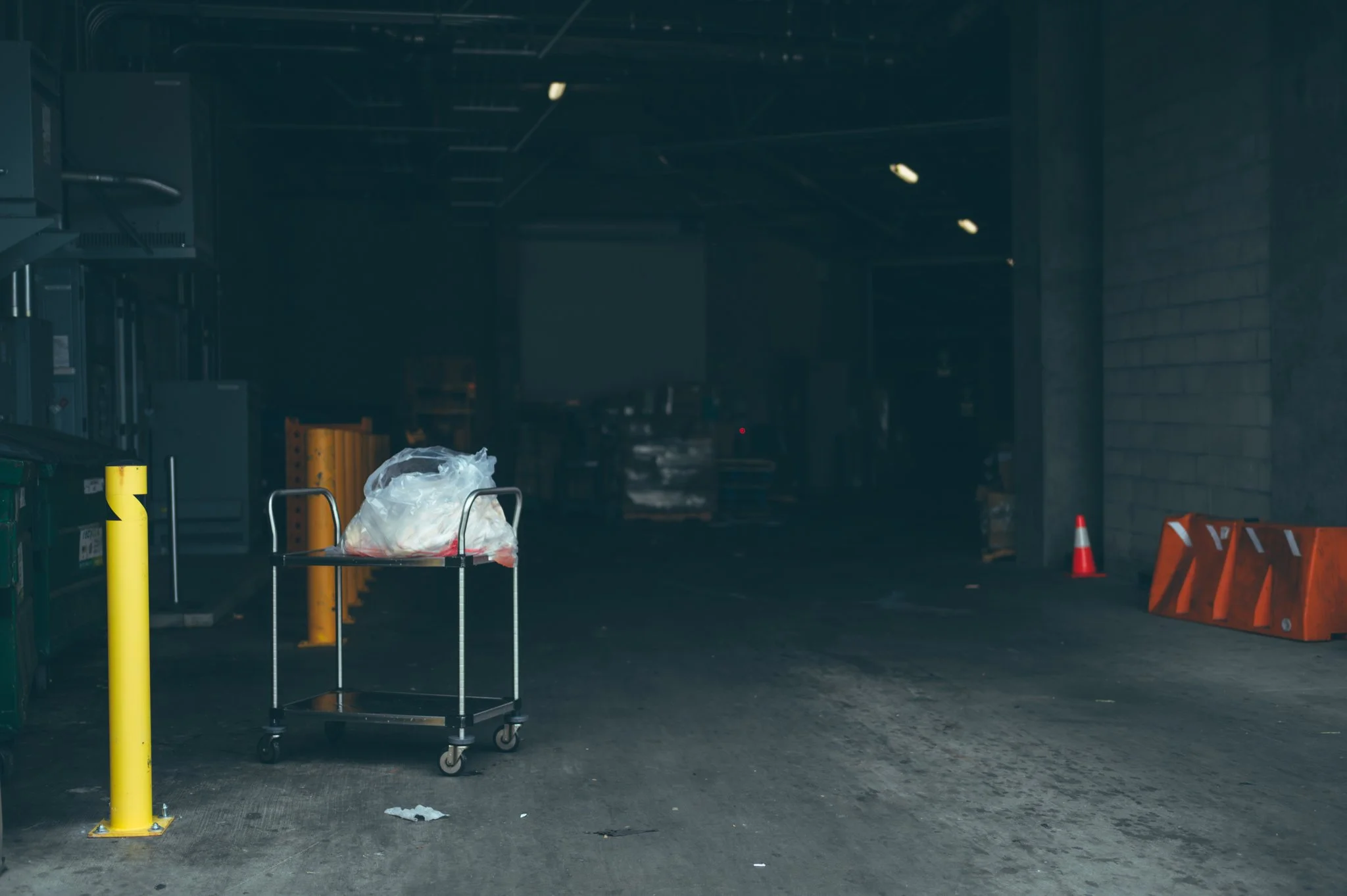 Untouched (2025) photograph 6