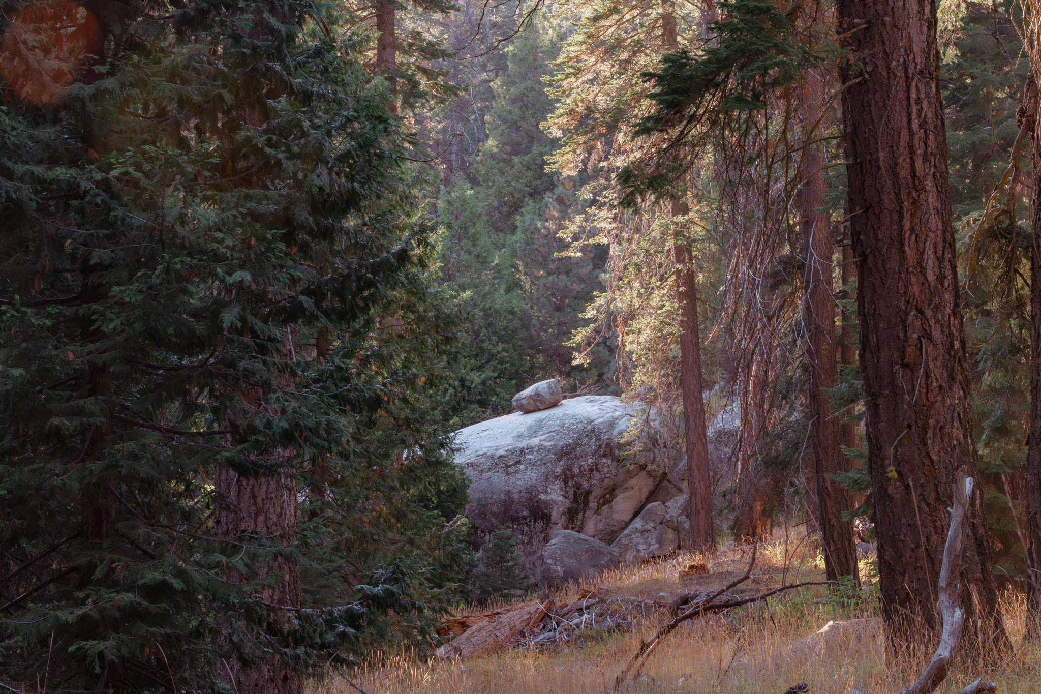 Untouched No. 7 — What Rests, Rests Again