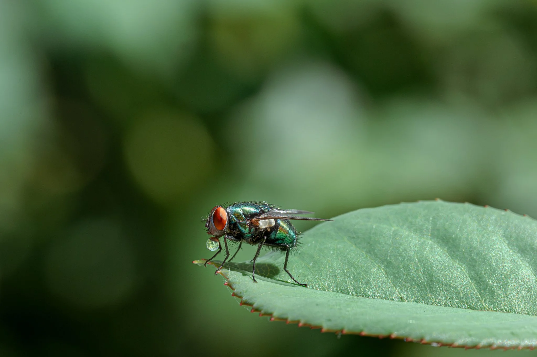 Untouched (2025) photograph 4