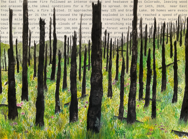 Calliope Coffey – 5 Years After East Troublesome