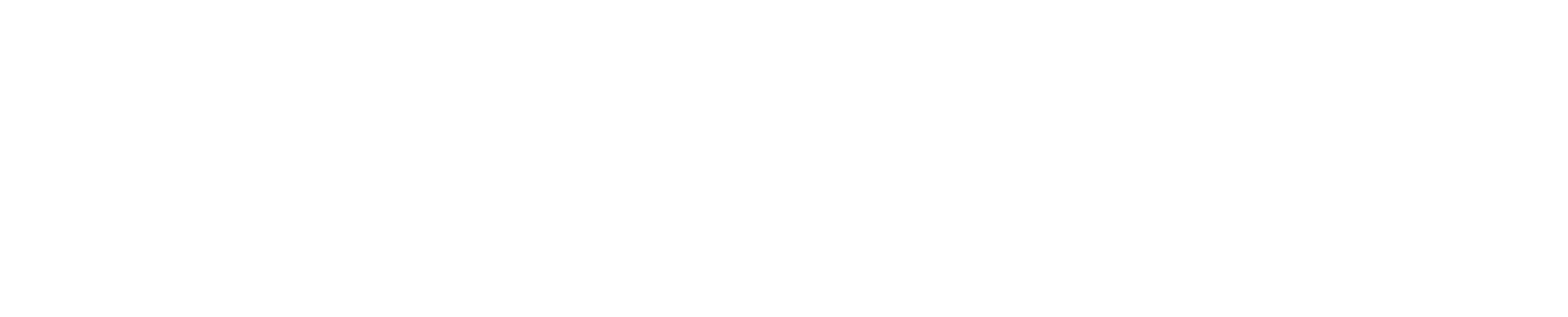 Intuit White Logo