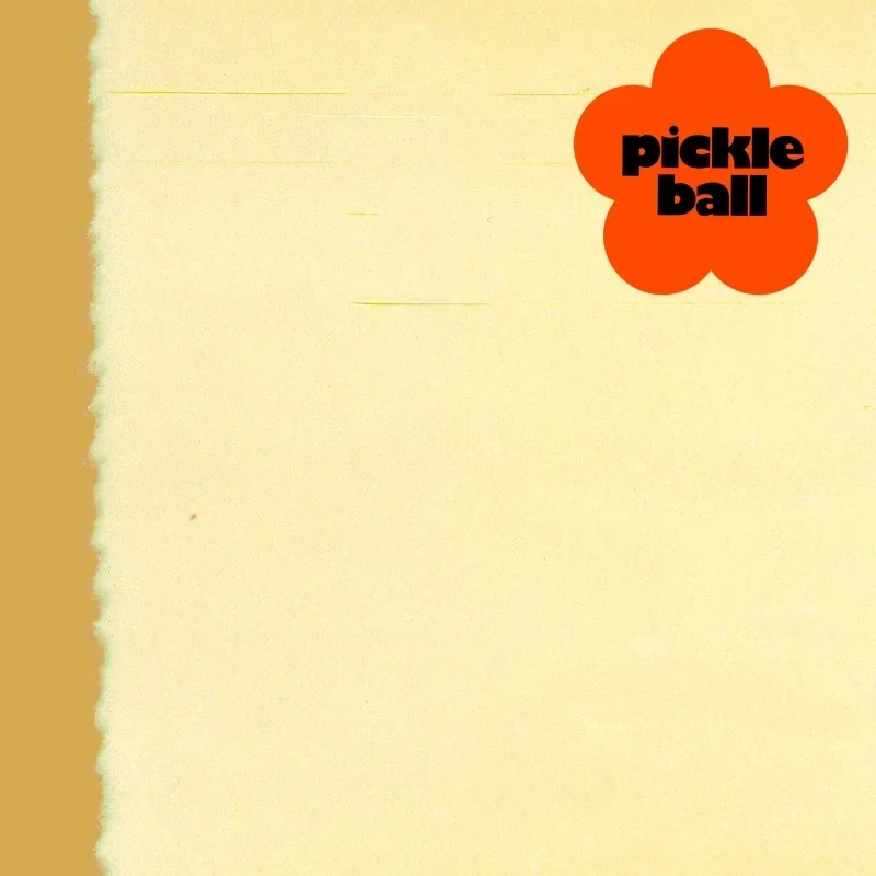 Pickleball cover artwork