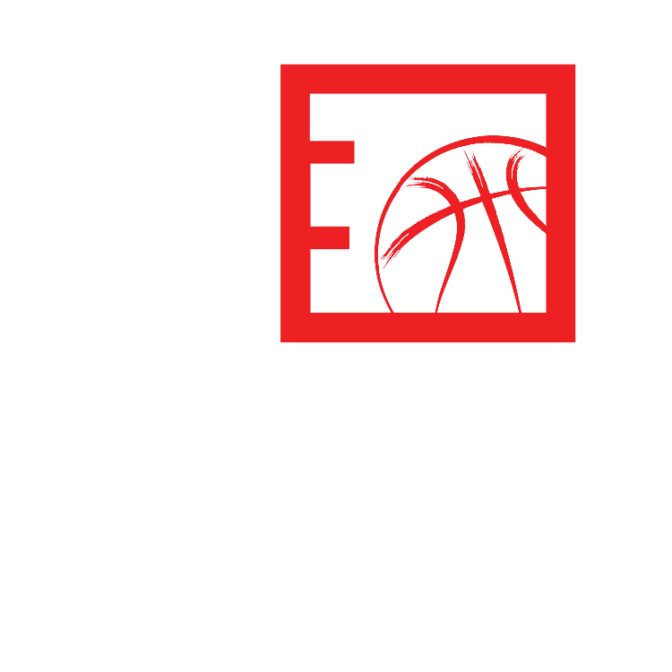 TheCube Basketball logo