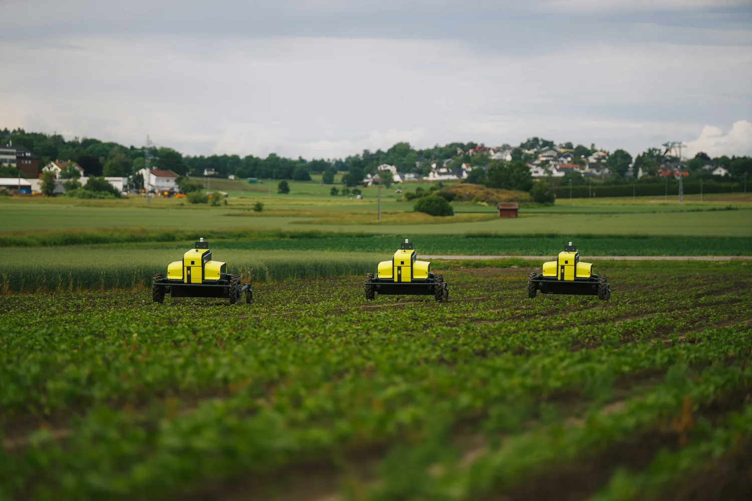 Kilter AX-1 weeding robot working in a vegetable field