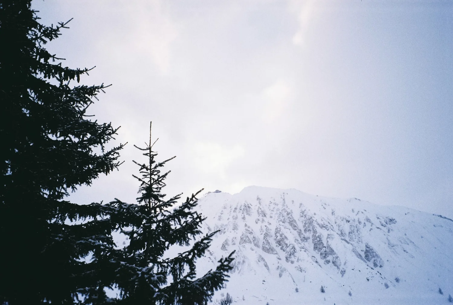 Studio Buns — Chamonix