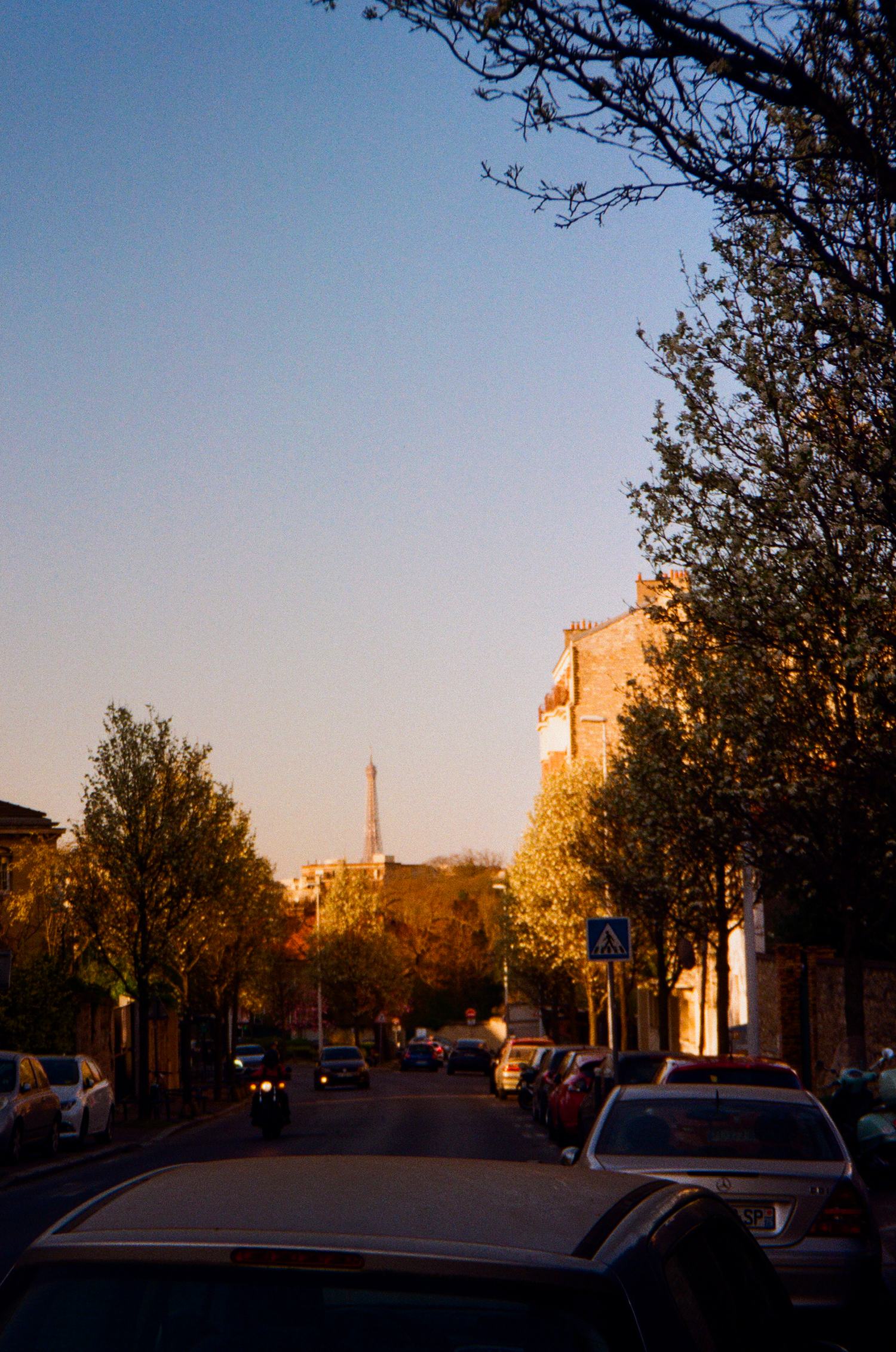 Studio Buns — Paris