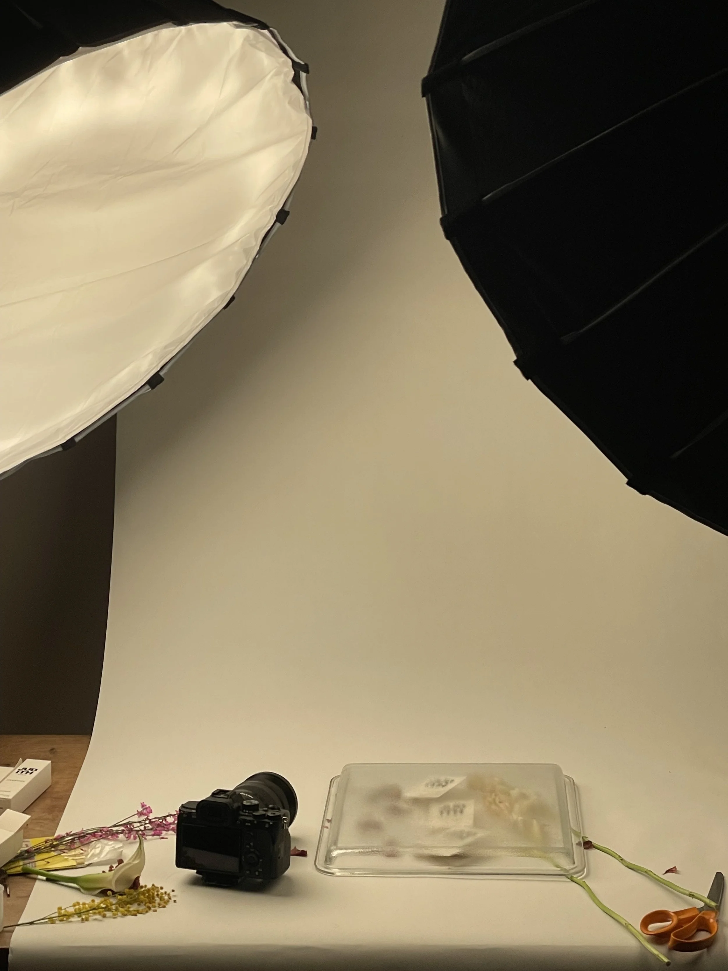 Judith - behind the buns 1