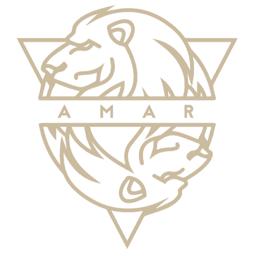 Fortnite AMAR Logo