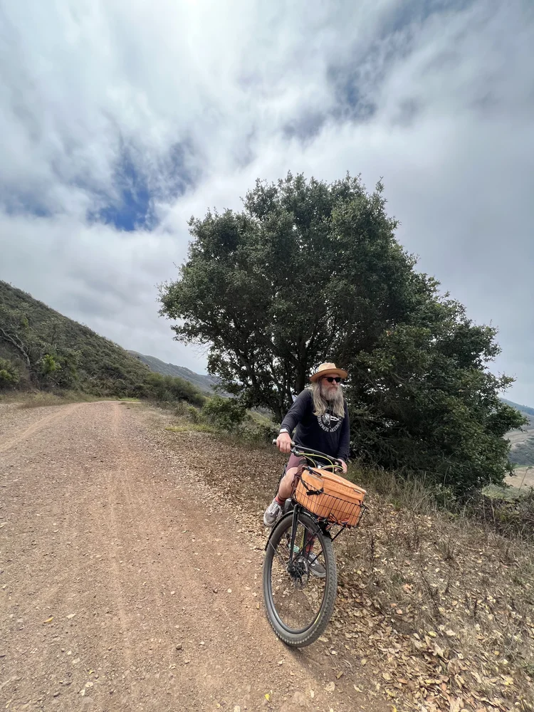 Our tree is doin' fine