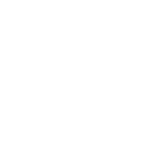 Custom Website Design Icon