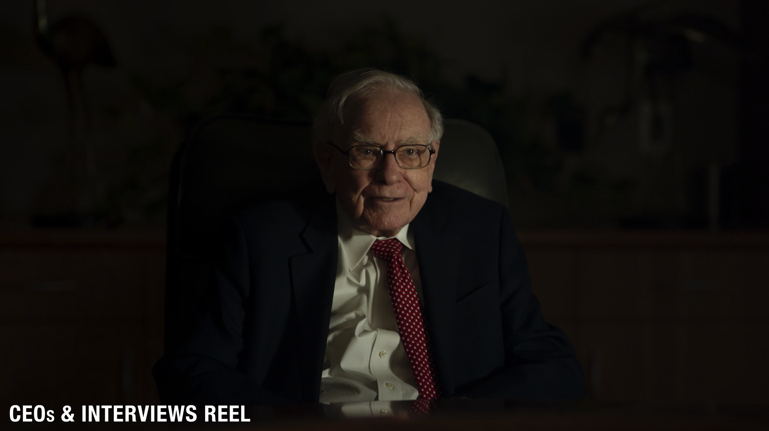 CEOs Interview Reel