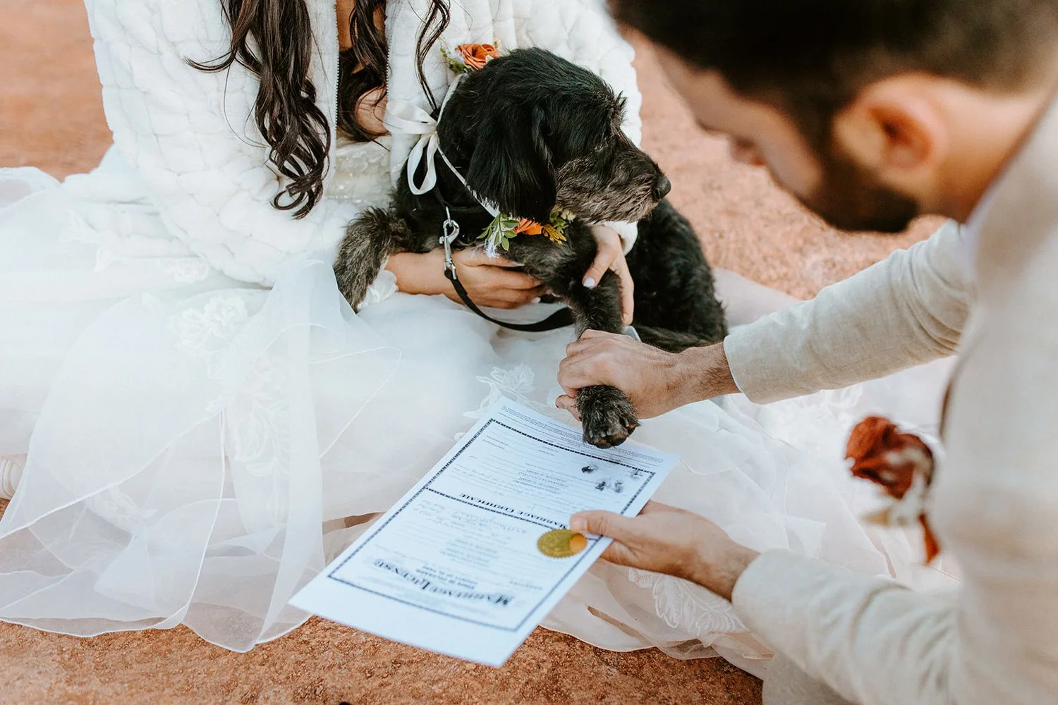 A dog paw print signed as a witness on a Colorado marriage license