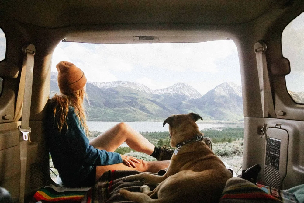 Kimberly Crist and her dog Flapjack sitting in the back of the car looking out at a mountain lake in Colorado