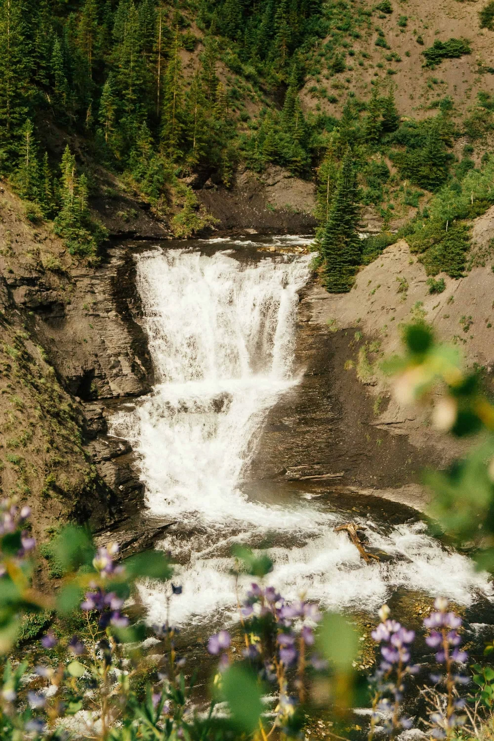 Secret Waterfalls elopement location in Crested Butte, Colorado