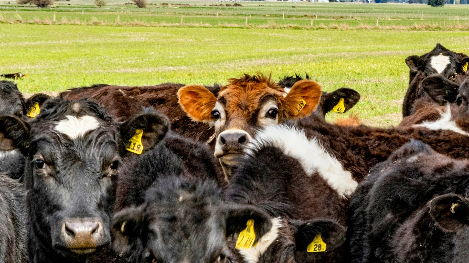 Michele Bullock, the RBA’s first female Governor, offered candid insights into Australia’s economy, labor market, and inflation.