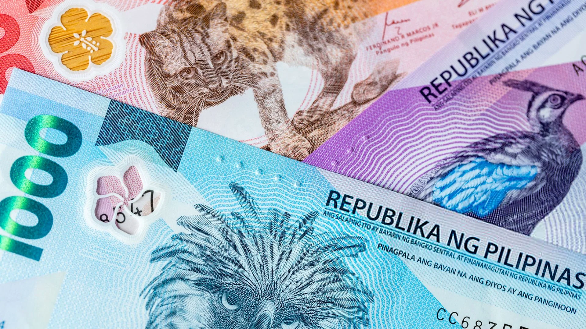 Michele Bullock, the RBA’s first female Governor, offered candid insights into Australia’s economy, labor market, and inflation.