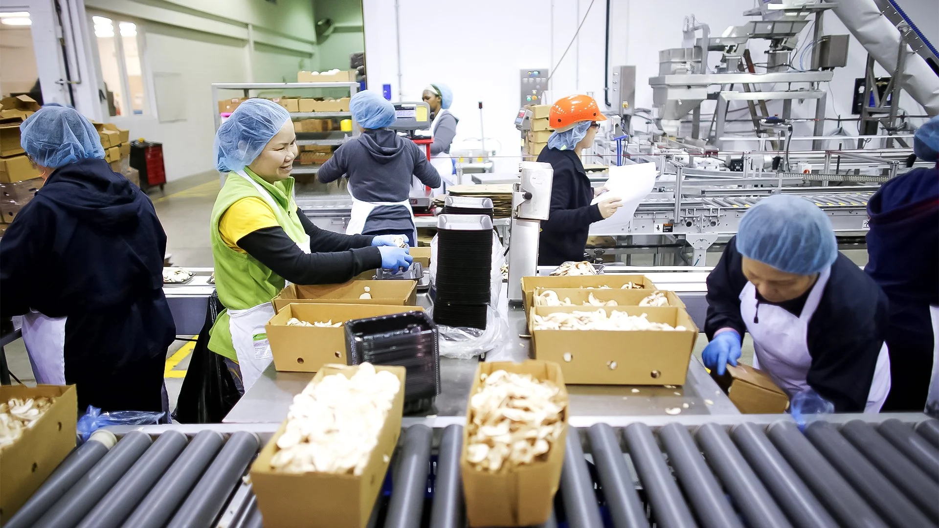 Michele Bullock, the RBA’s first female Governor, offered candid insights into Australia’s economy, labor market, and inflation.